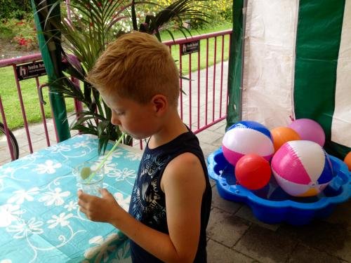 ©2016fvdvbeachparty-3